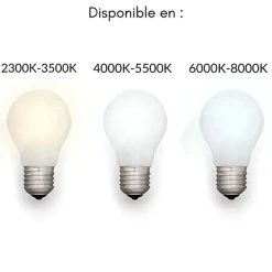 Tube Néon LED T5 120cm 13W 2 Têtes - Blanc Froid 6000K - 8000K - SILAMP