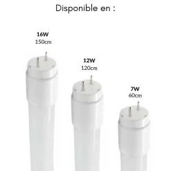 Tube Néon LED T8 120cm 12W (Pack de 25) - Blanc Froid 6000K - 8000K - SILAMP
