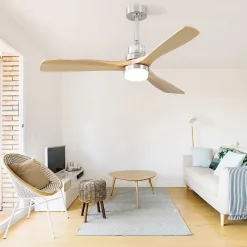 Ventilateur de plafond 52