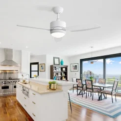 Ventilateur de plafond 46