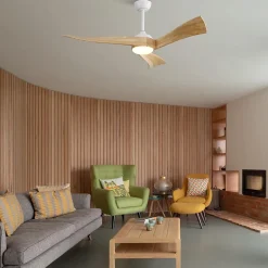 Ventilateur de plafond 52