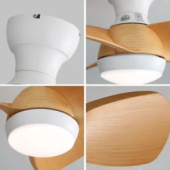 Ventilateur de plafond 23