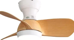 Ventilateur de plafond 23