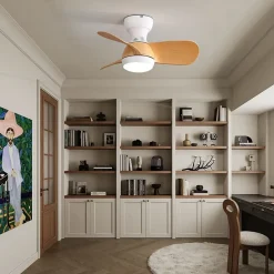 Ventilateur de plafond 23