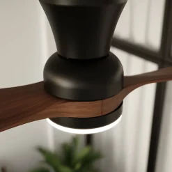 Ventilateur de plafond à deux pales et lumière