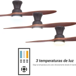 Ventilateur de plafond à deux pales et lumière
