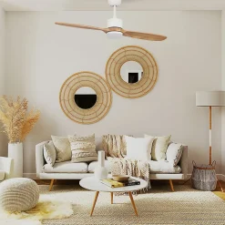 Ventilateur de plafond avec lumière à deux pales