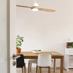 Ventilateur de plafond avec lumière à deux pales