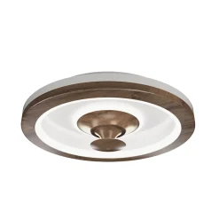 Ventilateur de plafond avec lumière