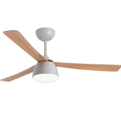 Ventilateur de plafond avec lumière et Wi-Fi