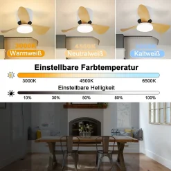 Ventilateur de plafond NETTLIFE avec éclairage et télécommande 23 W LED Dimmable Silencieux 70 cm Été/Hiver Minuterie 6 vitesses