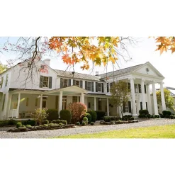 Ventilateur de plafond pales 132 cm avec Wifi Réversible Hypersilence