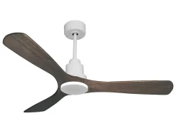 Ventilateur de plafond Réversible Thermostat Wifi Moteur à courant continu Toits en pente Télécommande Hypersilence Mémoire Shopi