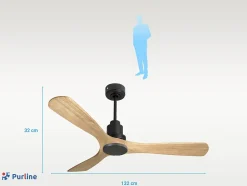 Ventilateur de plafond Réversible Thermostat Wifi Moteur à courant continu Toits en pente Télécommande Hypersilence Mémoire Shopi