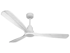 Ventilateur de plafond Réversible Thermostat Wifi Moteur à courant continu Toits en pente Télécommande Hypersilence Mémoire Shopi