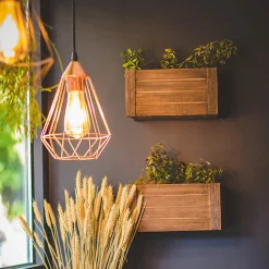 Xanlite - Ampoule à filament LED Edison, culot E27, 8W cons. (75W eq.), lumière blanc chaud - RFE1055ST