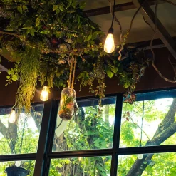 Xanlite - Ampoule à filament LED Edison, culot E27, 8W cons. (75W eq.), 1055 lumens, lumière blanc neutre - RFE1055STCW