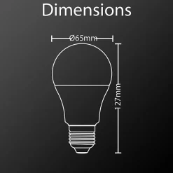 Xanlite - Ampoule LED A60, culot E27, 14,2W cons. (100W eq.), lumière blanc chaud - ME1521G