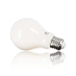 Xanlite - Ampoule LED A70 Opaque, culot E27, conso. 17W, 2452 Lumens, Blanc neutre - RFE2452GOCW