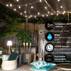 Xanlite - Guirlande Guinguette LED Noire, x10 Ampoules Vintage E27 Incluses, 5m Extensible, Conso 43W - GRL5230VBP45F