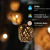Xanlite - Guirlande Solaire Naturelle 5m IP44 - 10 boules - Rotin - GRL5NAT
