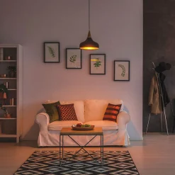 Xanlite - Lot de 2 Ampoules LED A60, culot B22, 10W cons. (60W eq.), lumière blanc chaud - PACK2EB806G