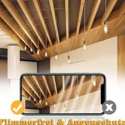 ZMH Ampoule LED Edison LED Vintage T25 2700k