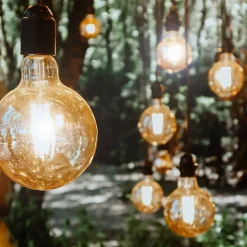 ZMH Ampoule LED Edison LED Vintage - G80 2700k