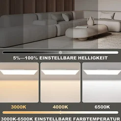 ZMH Plafonnier LED à Intensité Variable Pour Salon Panneau De Plafond Cuisine Fête