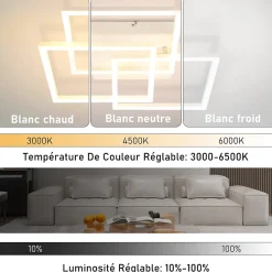 ZMH Plafonnier LED Moderne Blanc 3000-6500K pour Salon, Cuisine et Bureau